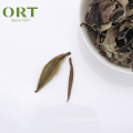 Premium Air-Dried Yue Guang Bai Yunnan White Moonlight Beauty Ancient Tree Green Loose Leaf Puer tea